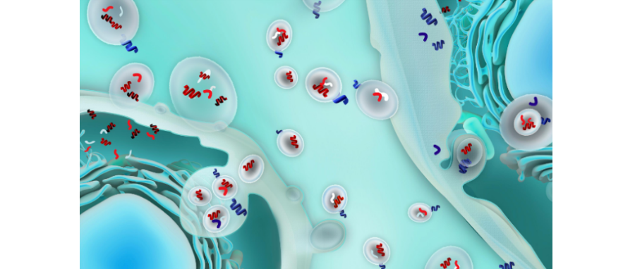 哪吒闹海！外泌体面纱大揭秘，我命由我不由天！