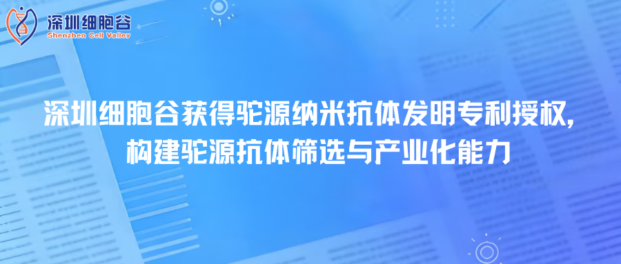 深圳evo真人视讯取得驼源纳米抗体发明专利授权，构建驼源抗体筛选与产业化能力