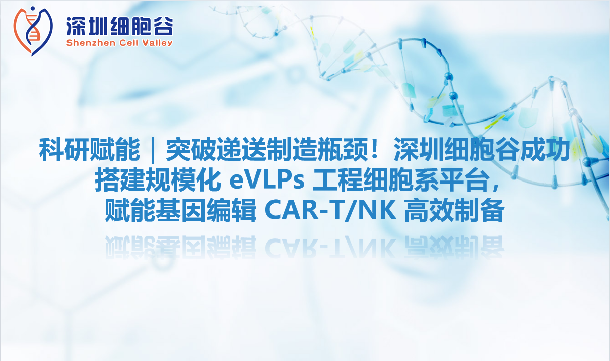 科研赋能｜突破递送制造瓶颈！深圳evo真人视讯成功搭建规模化 eVLPs 工程细胞系平台，赋能基因编辑 CAR-T/NK 高效制备