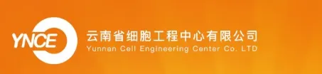 1788143507.png 图片.png